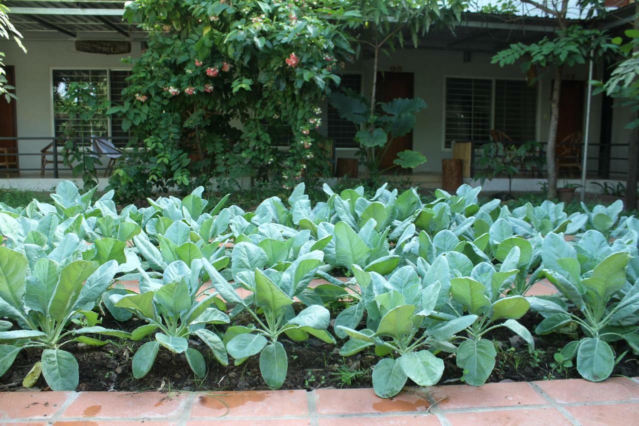 My Parents Pensión Kampot Exterior foto